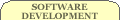 software development
